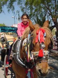 Horse-drawn carriage in Aegina, Greece