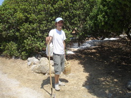 mastica, mastic, chios, greece