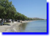 papikinou.jpg