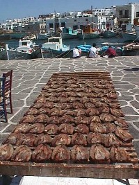 Naoussa, Paros, Greece