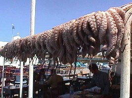 Naousa Octopus drying