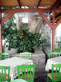 Hibiscus Restaurant, Paros, Greece