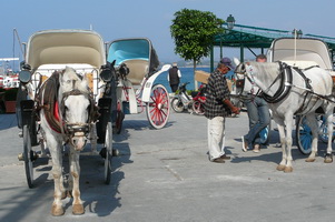 spetses carriages