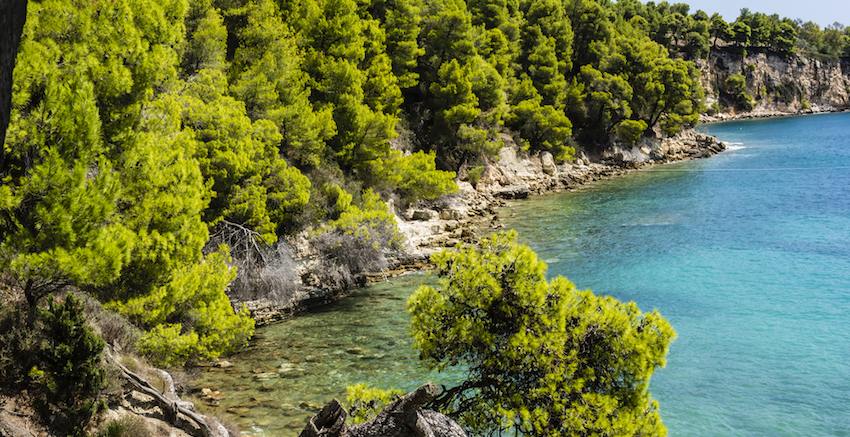 Alonissos Coast