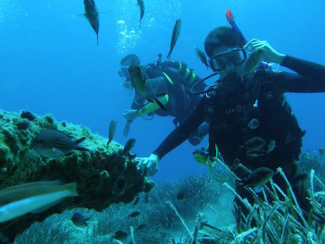 Amorgos Diving Center