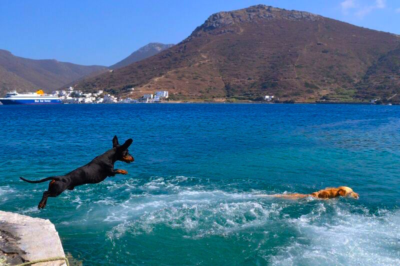 Amorgos ferry