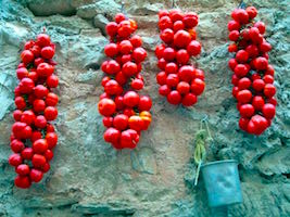 Chios sundried tomatoes