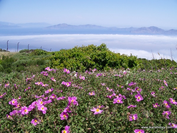 Ikaria, Greece