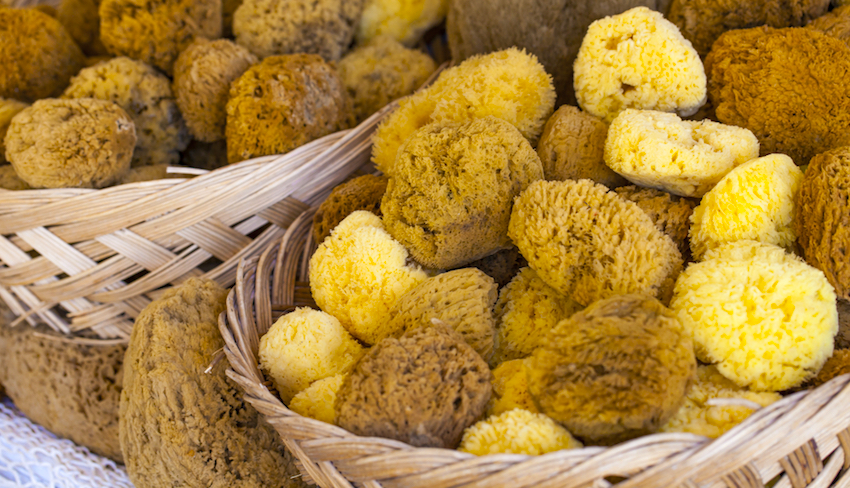 Kalymnos Sponges