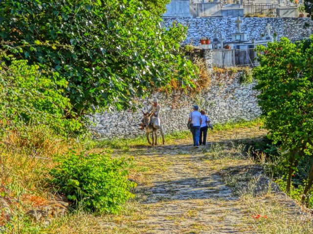 Kea, walk to the lion