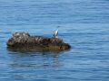 DSC02978.jpg