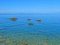 DSC02981.jpg