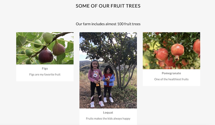 Naxos Fruit Trees