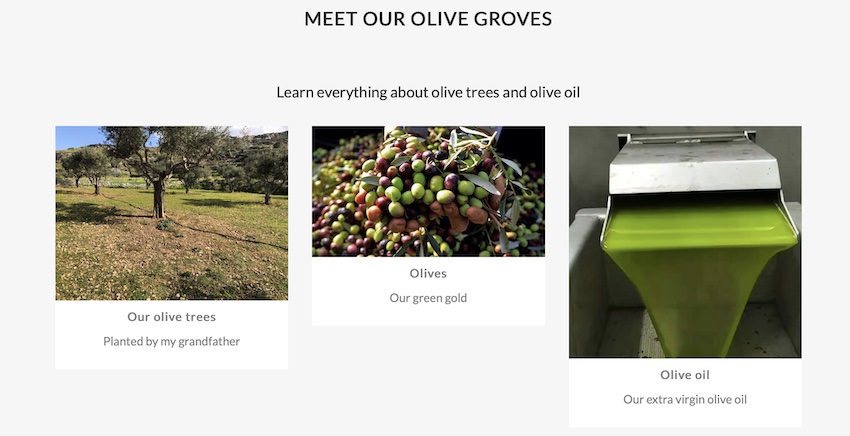 Naxos Olive Groves Tour