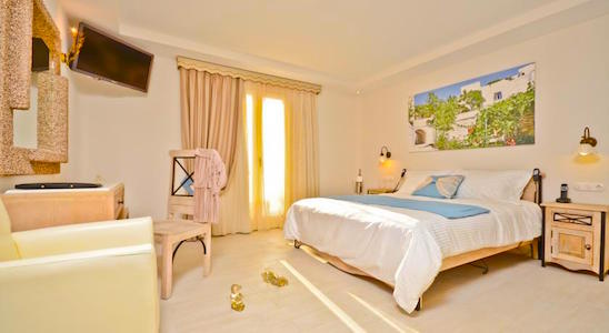 Naxos Island Hotel