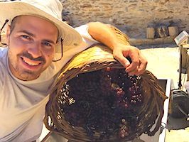 Naxos Winery