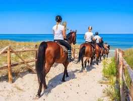 Horseback Riding