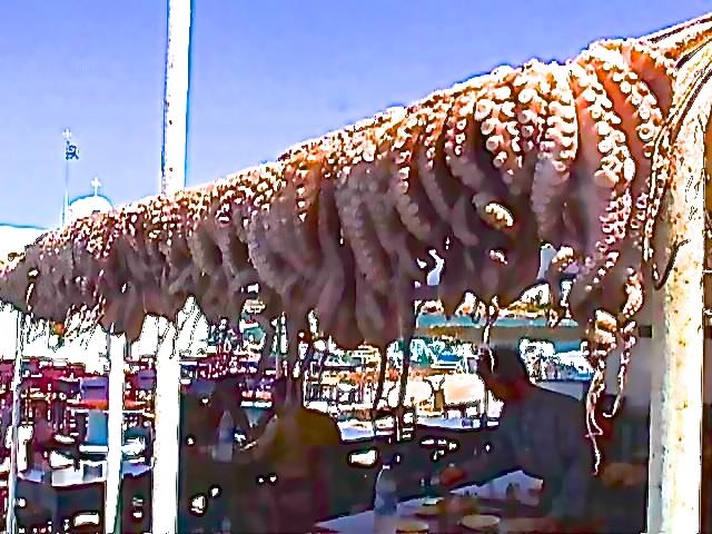 Naousa Octopus