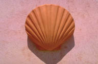 SCONCE LIGHTING