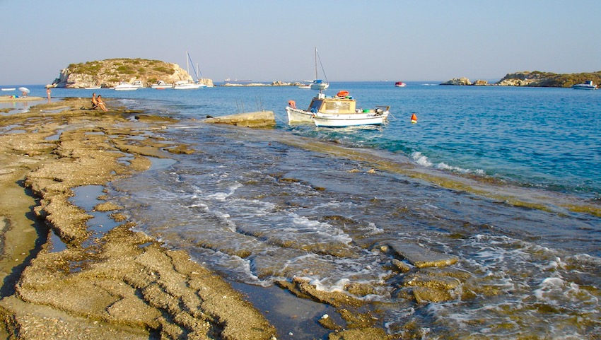 Peristeria