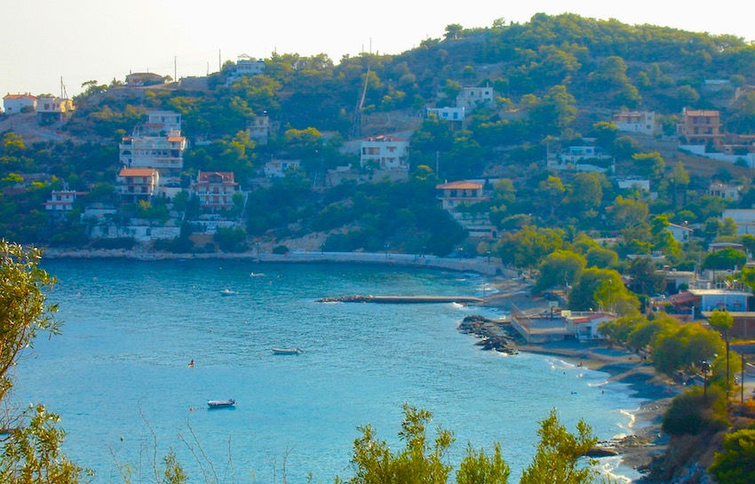 Peristeria, Salamina