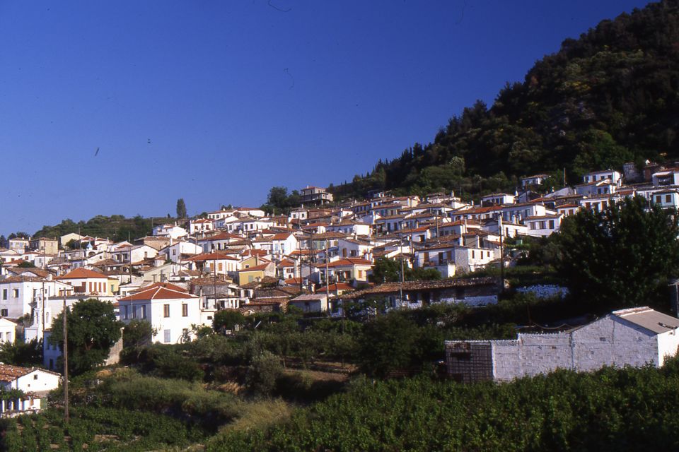 vourliotes, Samos, Greece