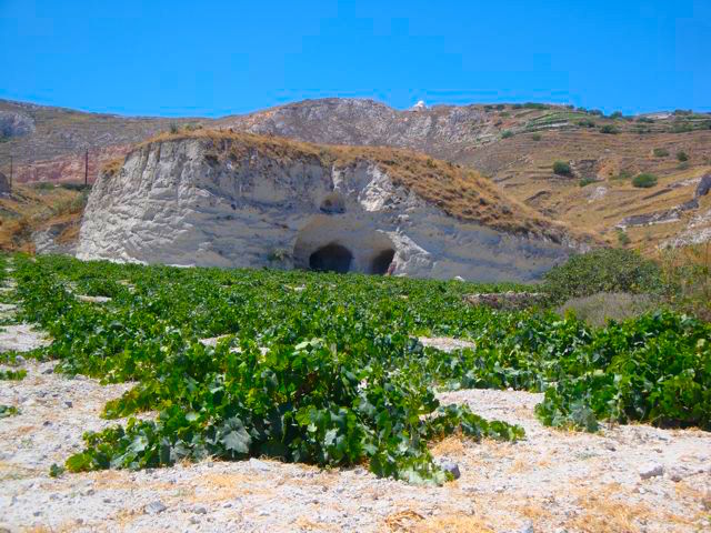Estate Argyros Winery, Santorini