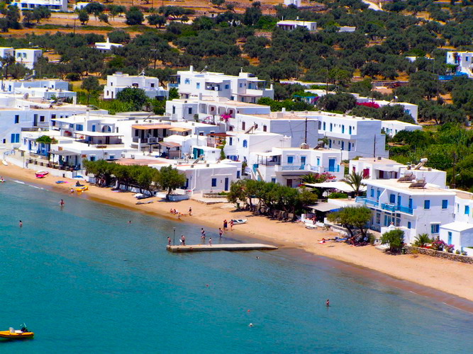 platyialos4.jpg